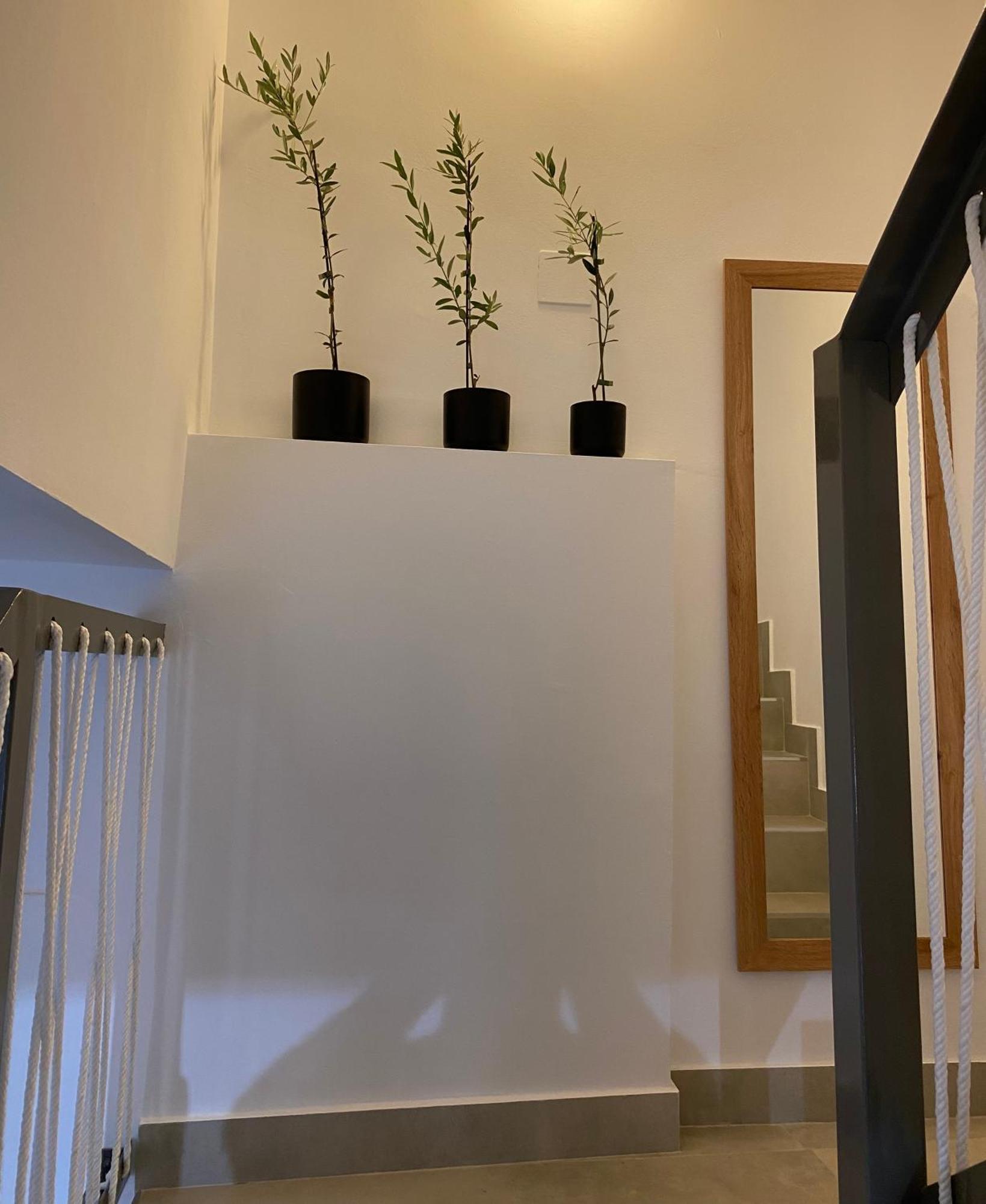 El Olivo Villa Alcaudete Kültér fotó